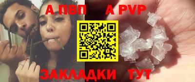 стафф Заводоуковск