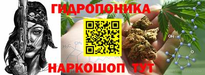 spice Заволжье