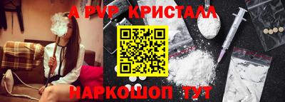 стафф Заводоуковск