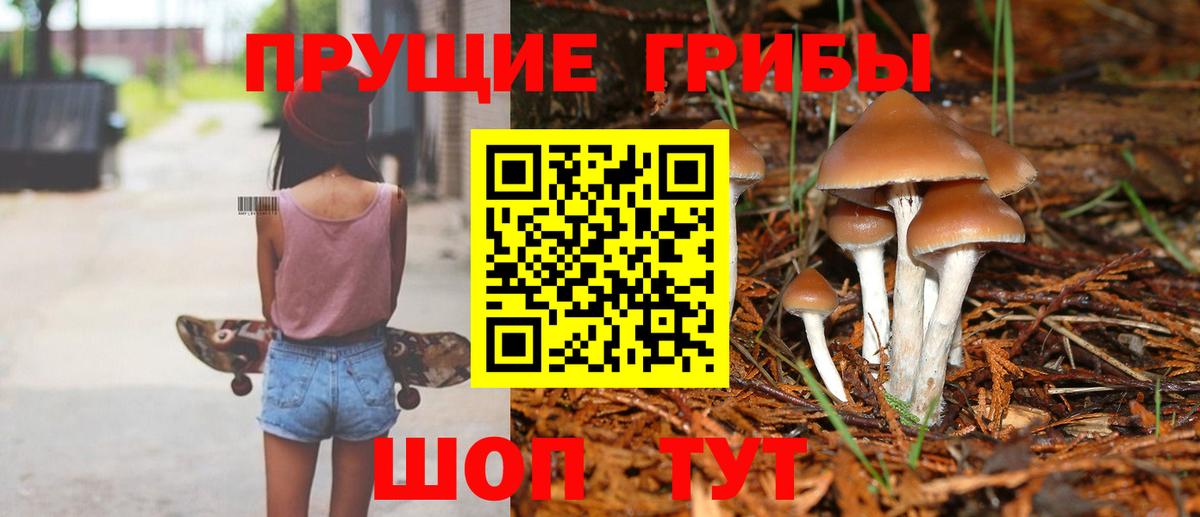 Псилоцибиновые грибы мухоморы Нижнекамск