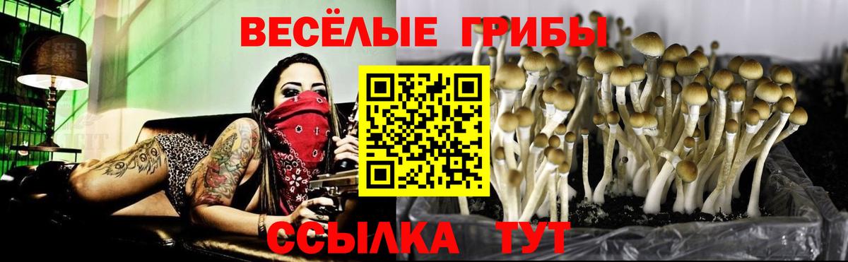 Нижнекамск  Галлюциногенные грибы ЛСД  дарнет шоп  Вход с VPN 